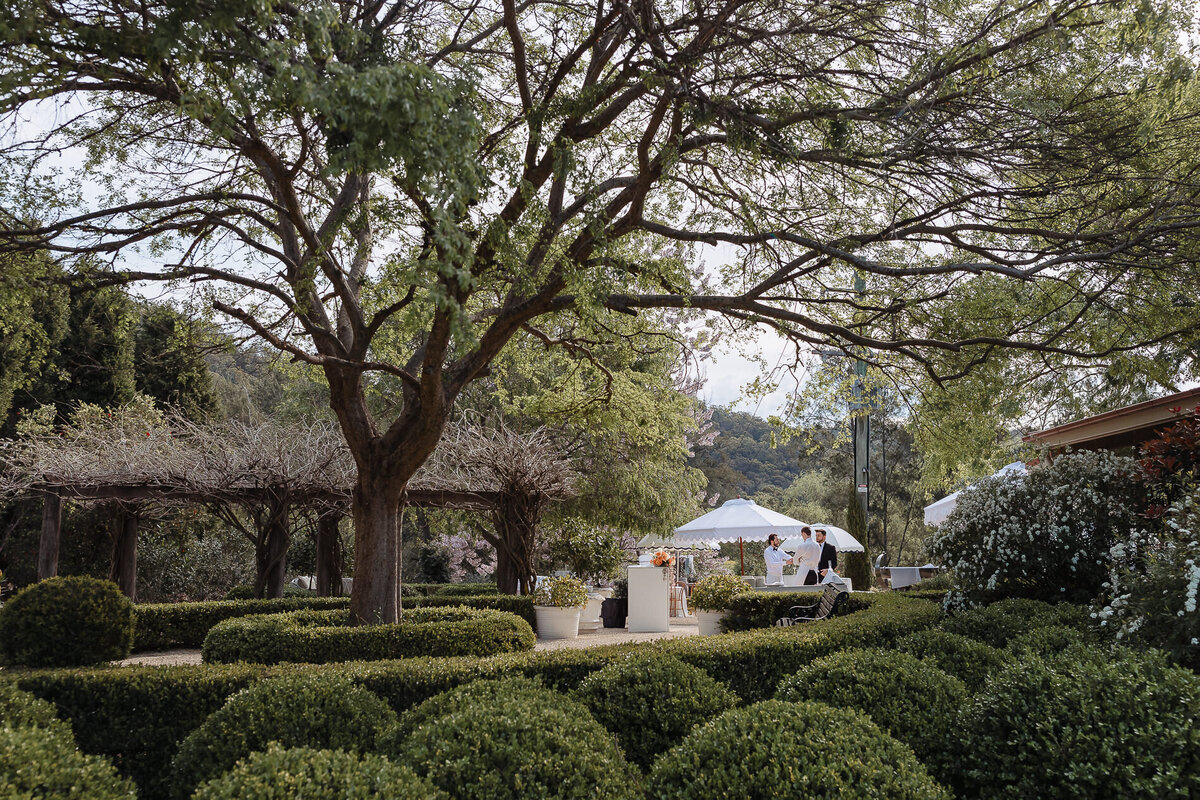 Redleaf Wollombi film wedding photography-30