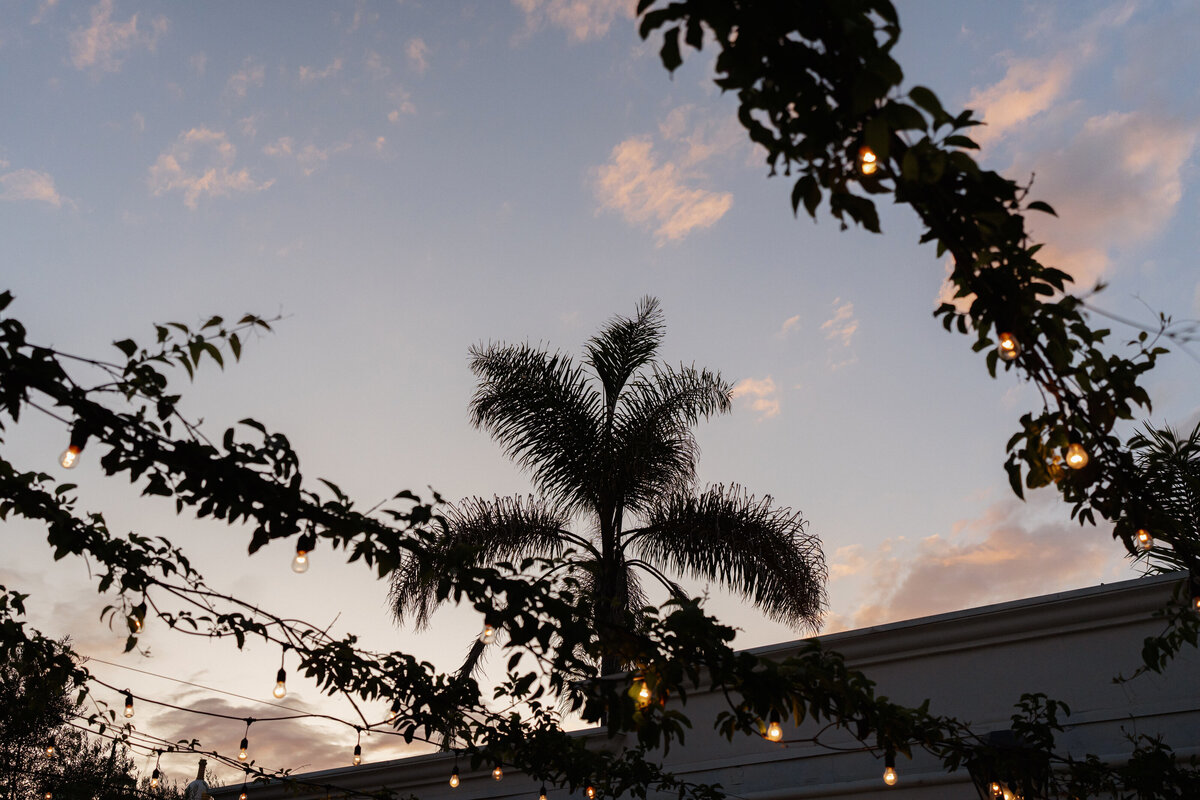 Santa-Barbara-Courthouse-Wedding-Villa-and-Vine-697