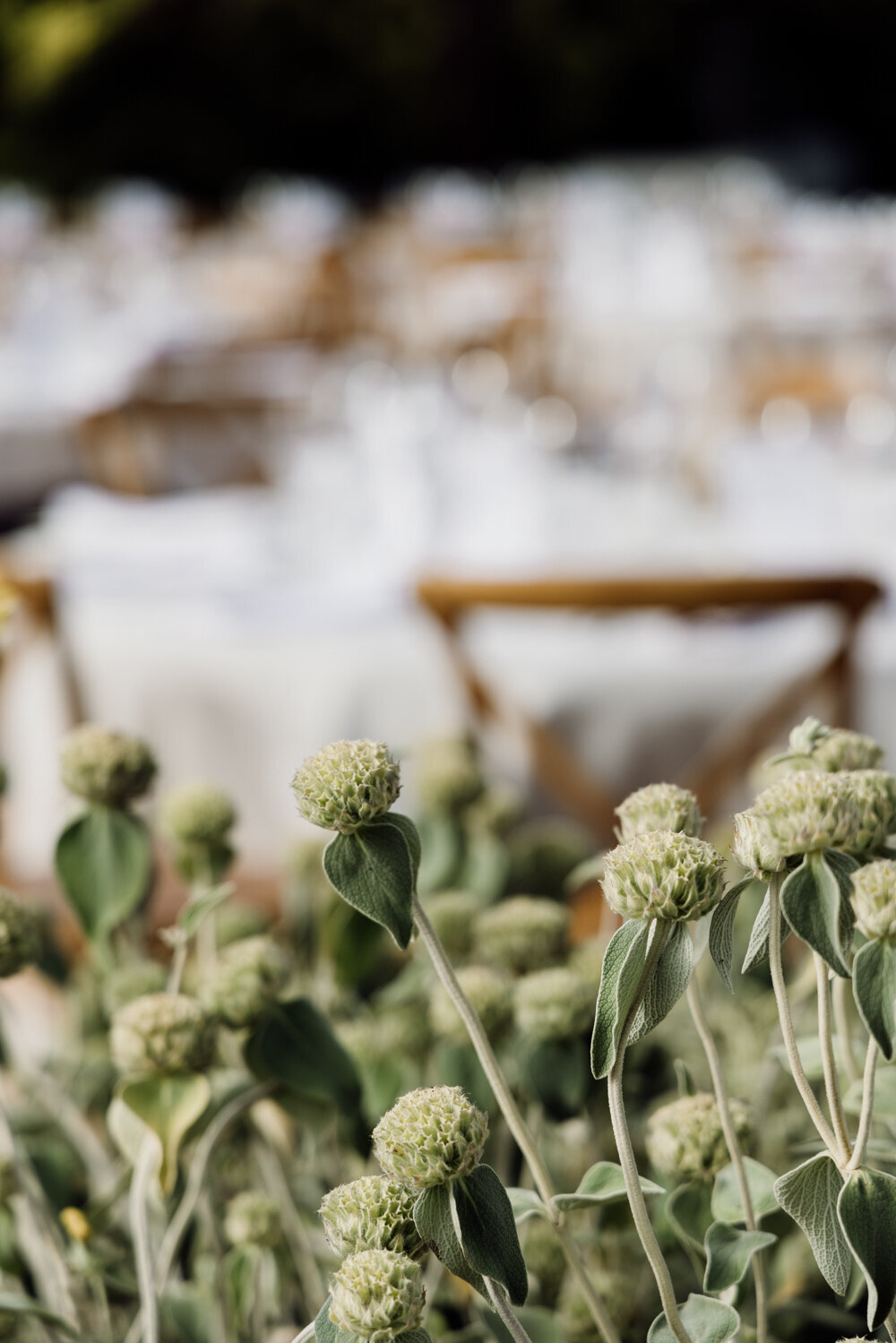 wedding_photographer_spain_barcelona-73