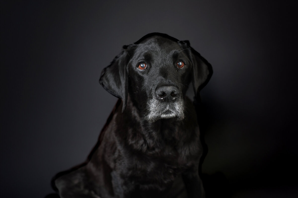 LisaDeNeffePhotography-31