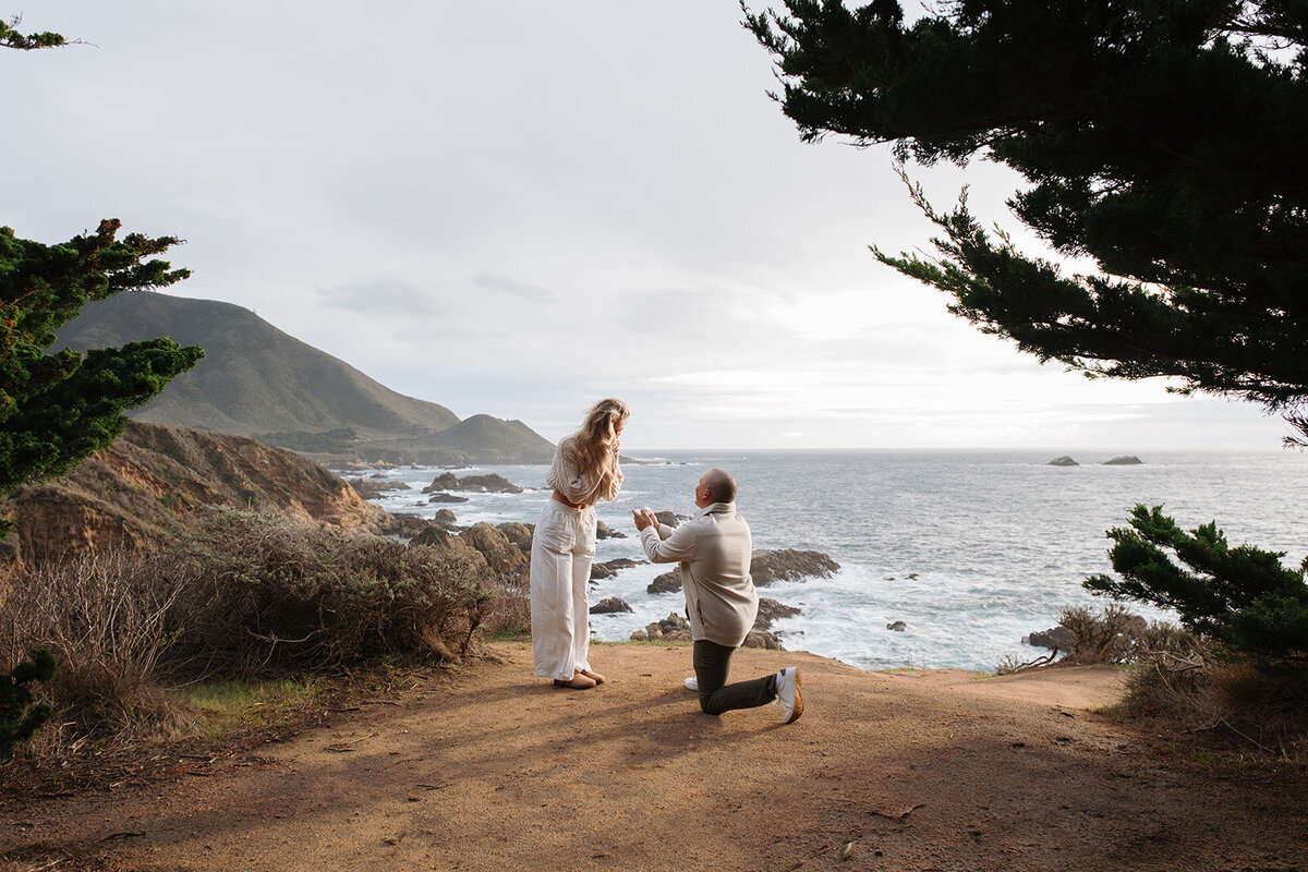 Coby & Alexandra Photography & Films -Big Sur Garrapata Proposal A+E-9_websize