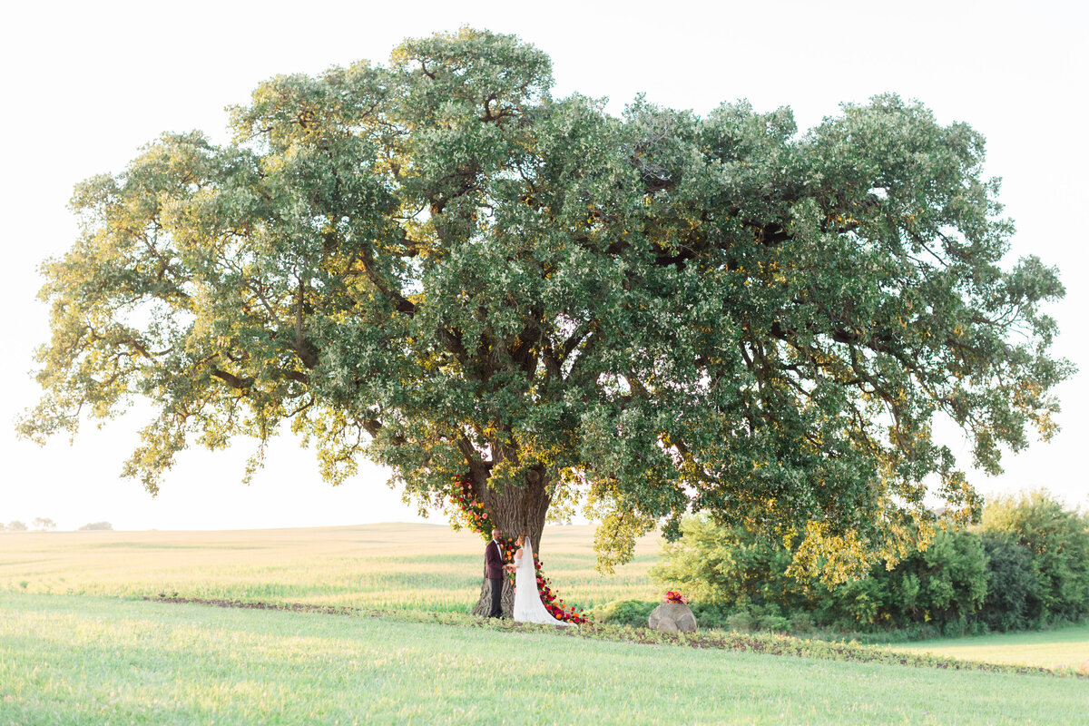 Bride and groom take their vows under large oak tree