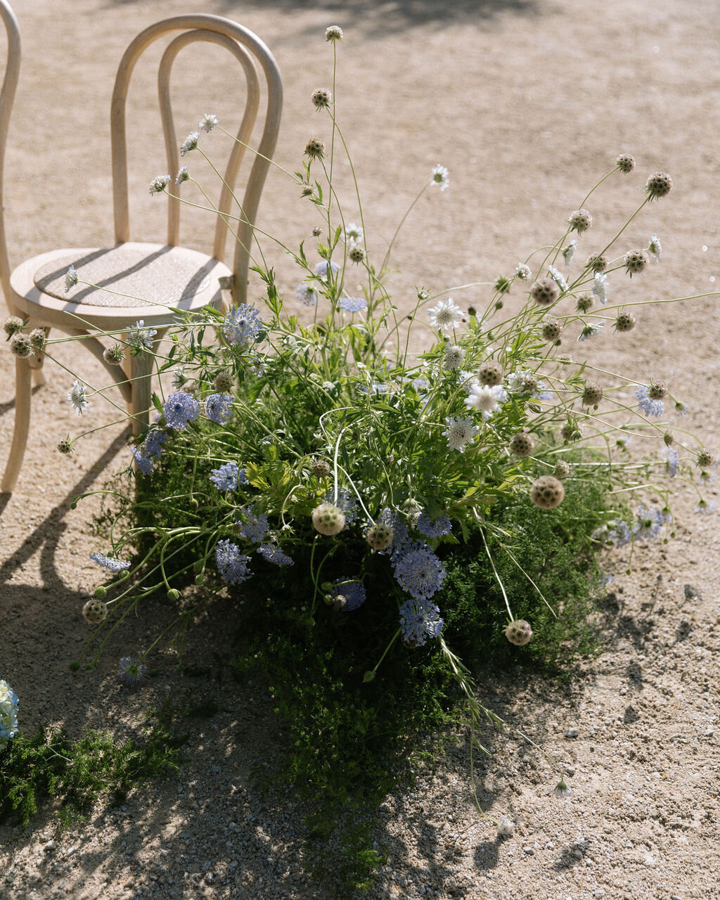 Northern-California-Wedding-Photographer-Soul-Like-The-Sun199