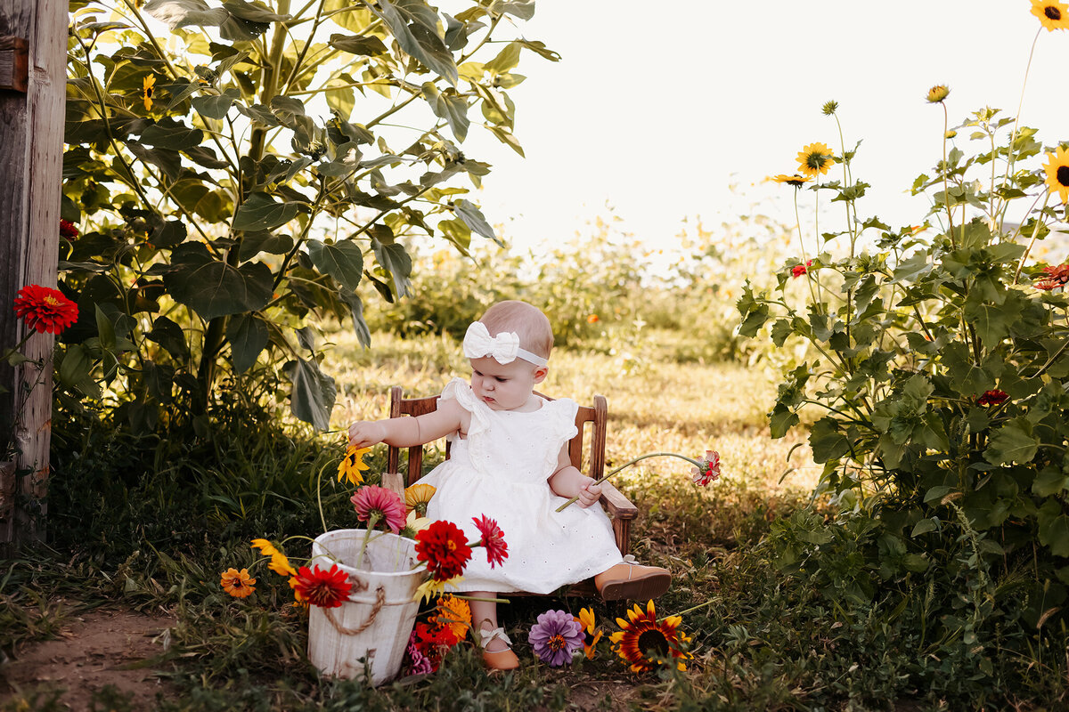 family photographer in ft collins