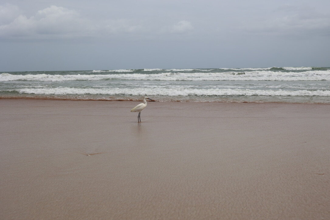 0055D823-2E92-47AF-A8F9-CD9C441E3F64_1_105_c