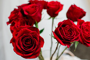 Horn Photography & Design V+B - 0016_