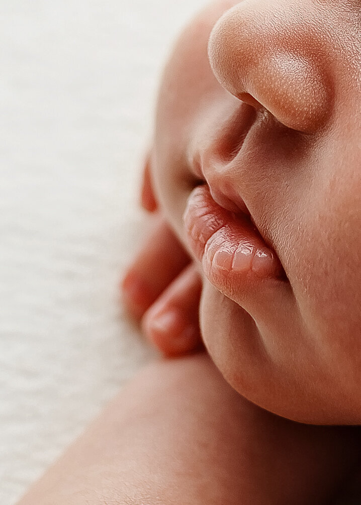 newjersey-newborn-photographer5