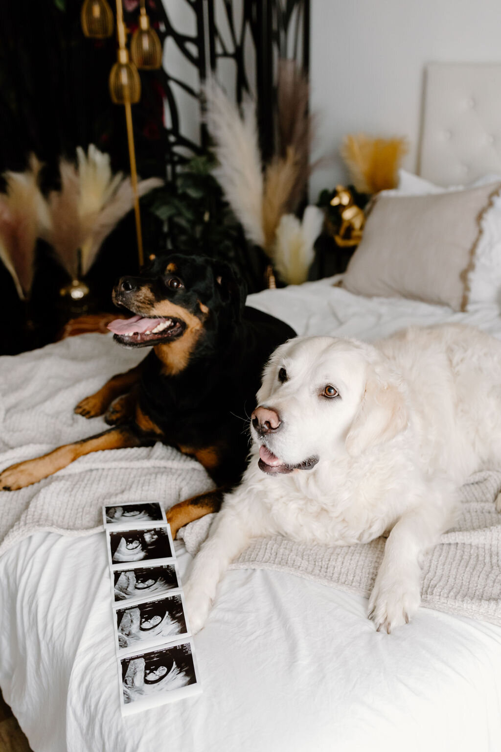 christina_ney_photography_wedding_engagement_lifestyle_photographer_dubuque_iowa_wedding_planning_assistance_adventurous_bold_laidback Family Photography109