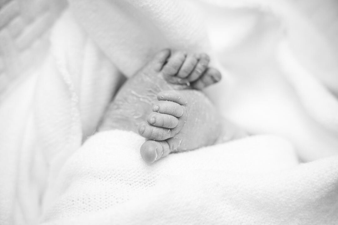 San Francisco Family Photographer Alyx Jones4