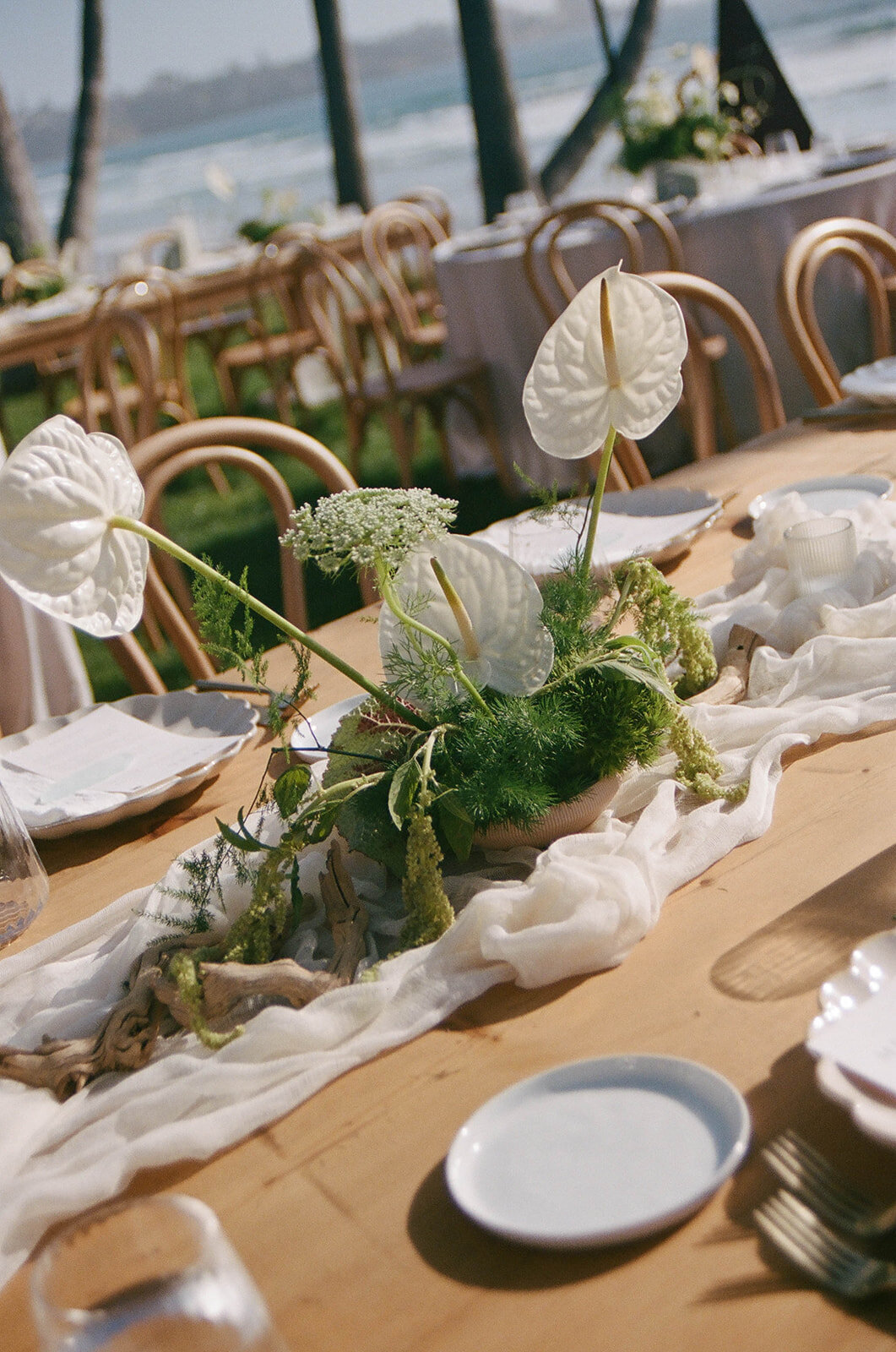 romantic-seaside-celebration-la-jolla-meagan-hilss-events