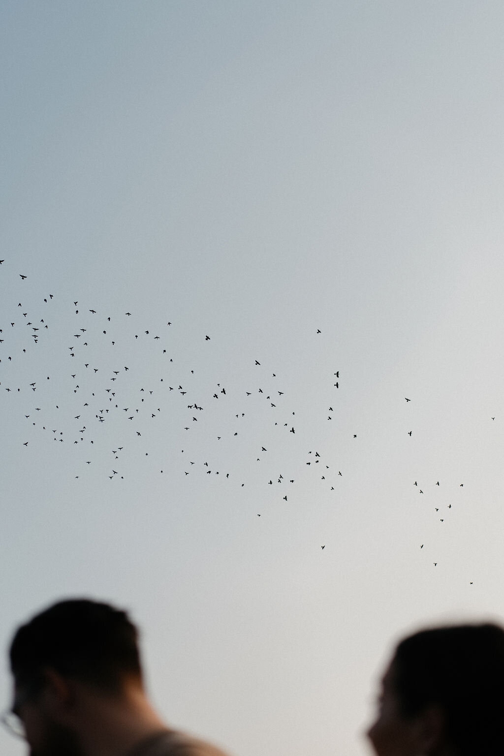 Alyson+Josh-134