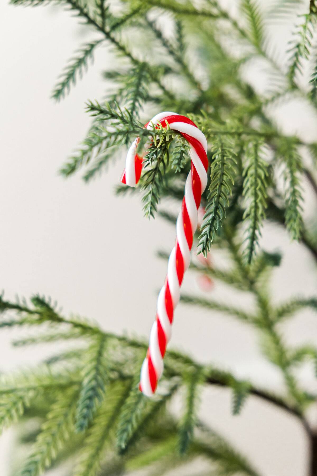 Christmas at EP_2025_053