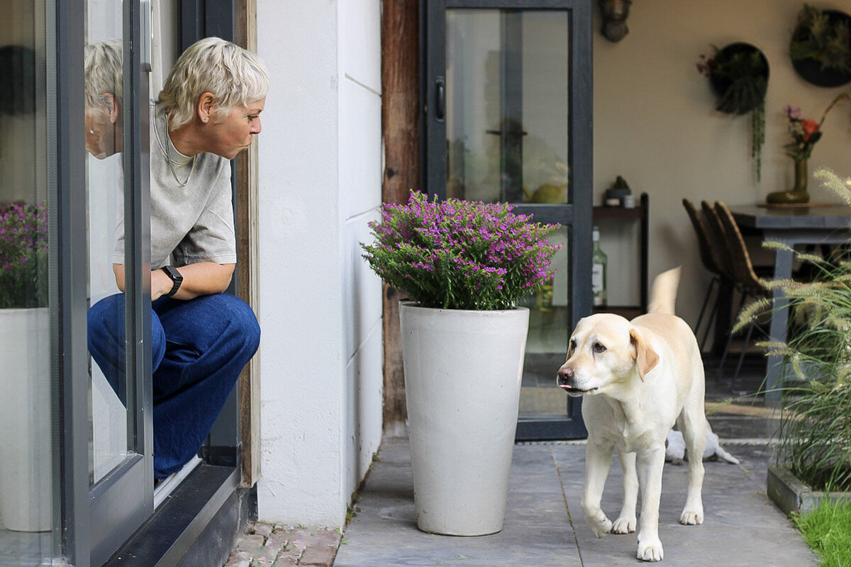 Een gezellige patio met bloemen en een hond, onderdeel van een warm en functioneel ontworpen exterieur door LOOSZ.