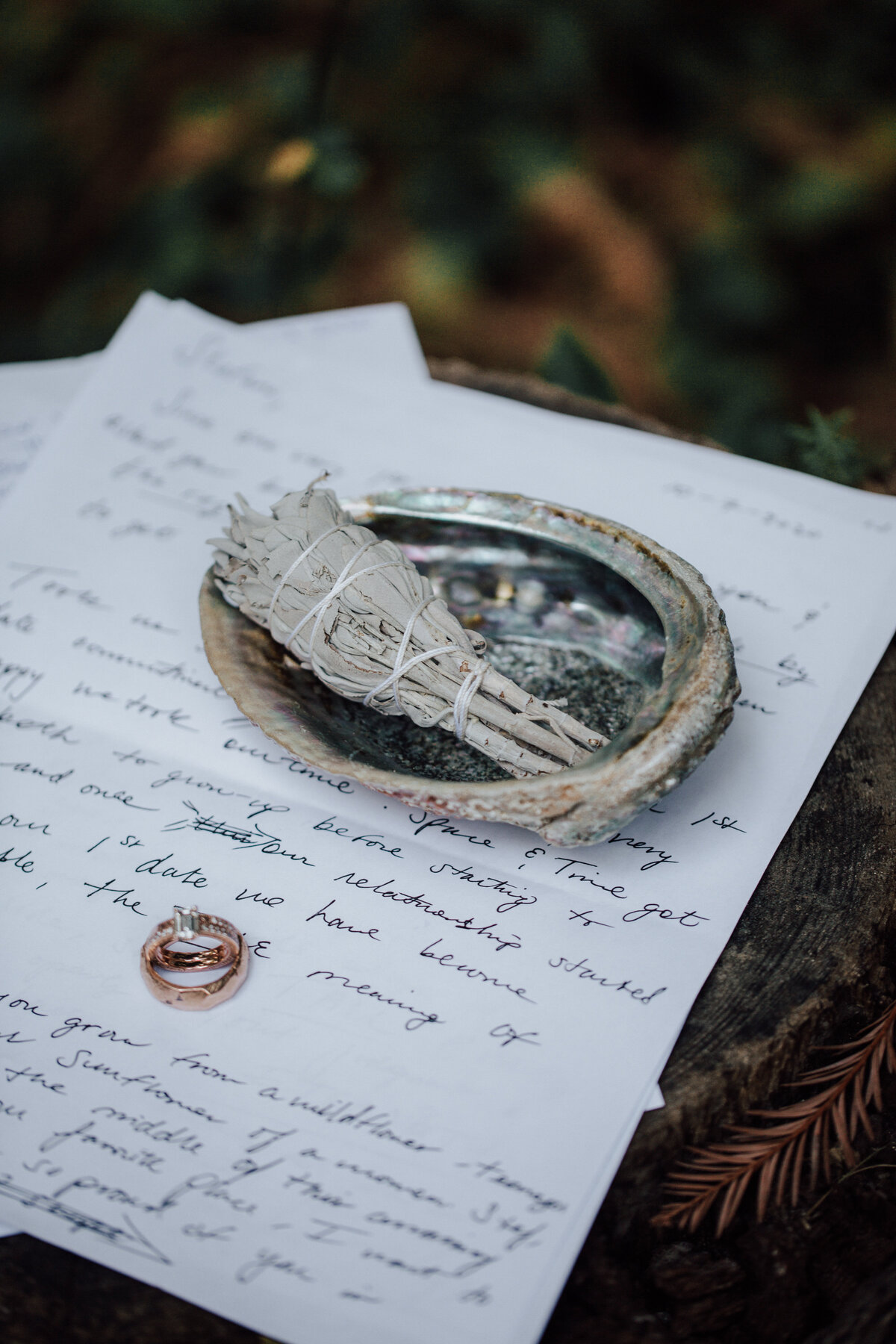 THEDELAURAS_BIGSUR_BRIDGEHOUSE_GLENOAKS_ELOPEMENT_STEF_JAVIER_0045