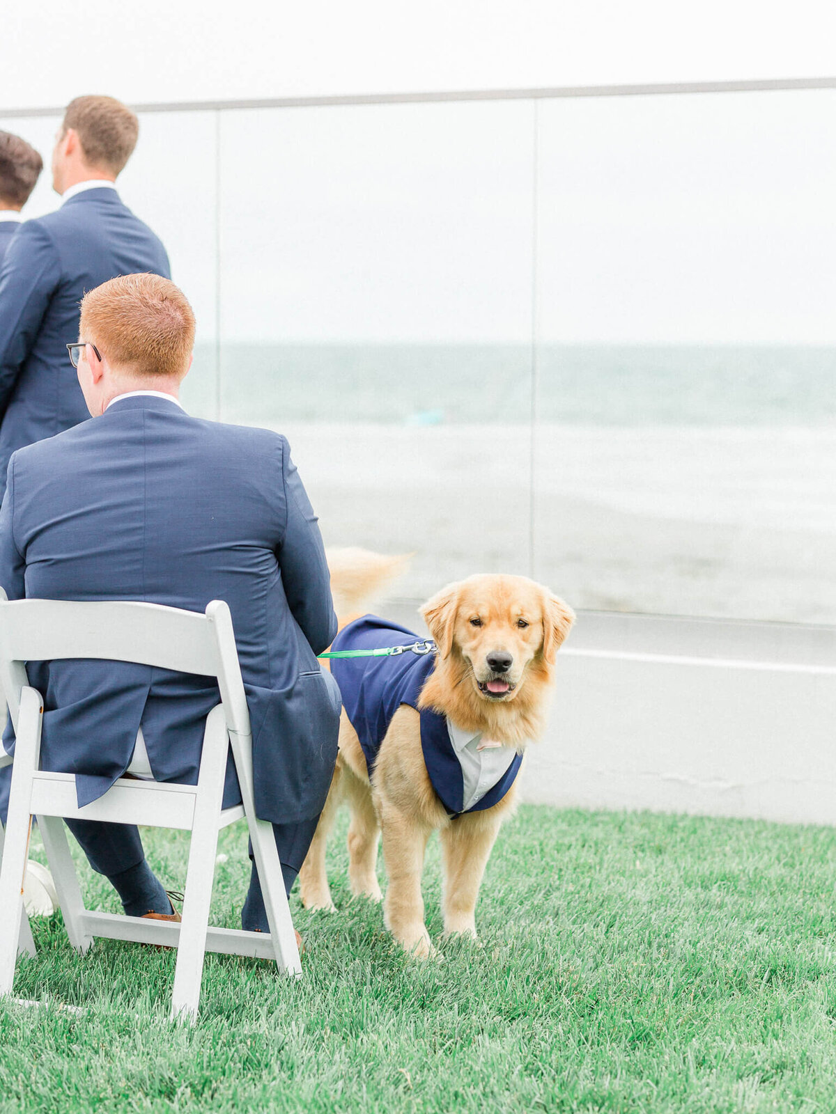 dog in a suit at newport beach house, middletown RI
