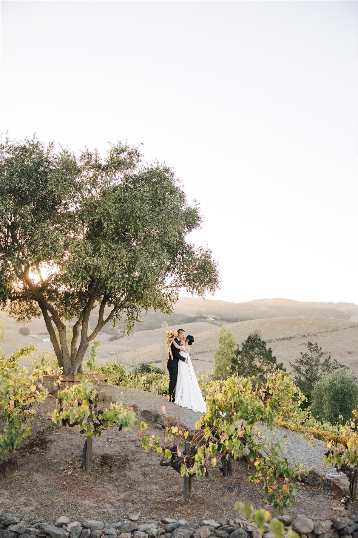 viansa-sonoma-wedding-annie-ben-ashley-carlascio-photography-0690