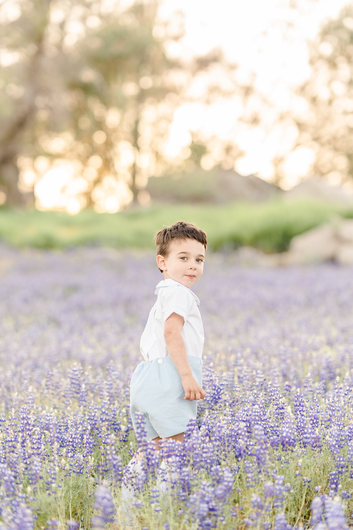 A young boy dressed in shades of white and light blue turns as he walks in a field of purple lupine flowers photographed by bay area photographer, Light Livin Photography.