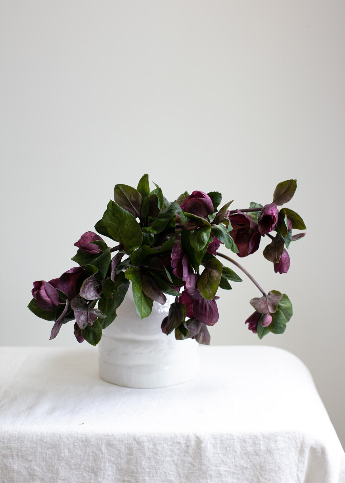 deep violet flowers and dark green foliage drooping over white vintage vase on white linen tablecloth