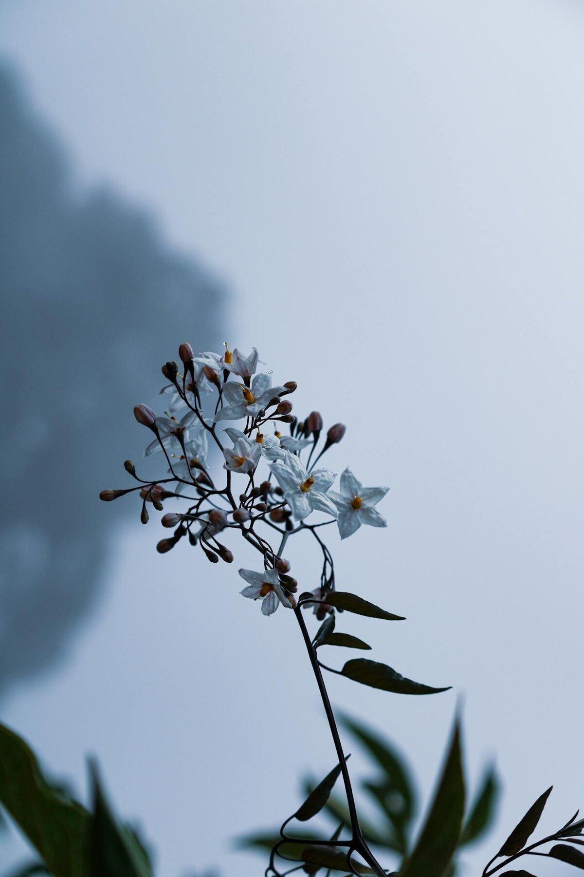 pexels-alby-6717648