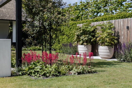 D2638091-4A3A-4267-ACDC-0B1FEAA3ACCD_4_5005_c