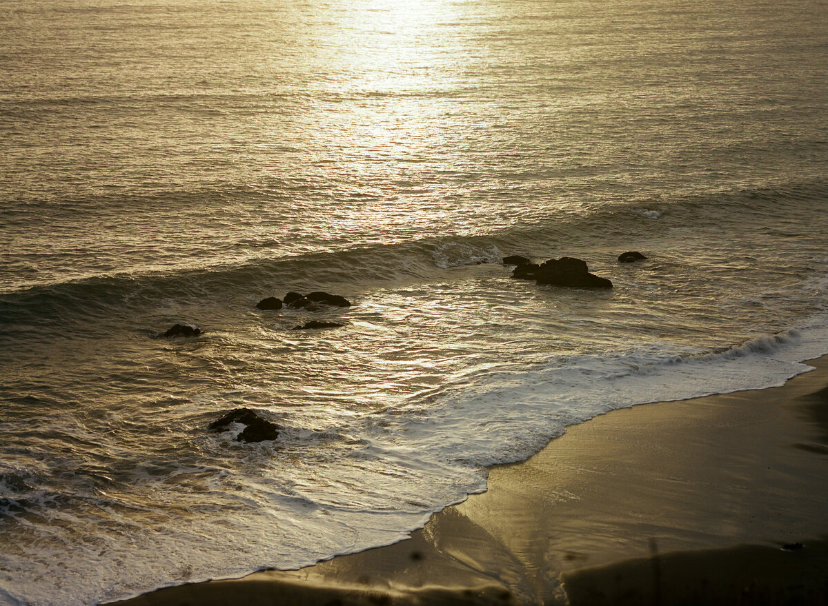 DT-2025-Celine & Gabe Highlights-65