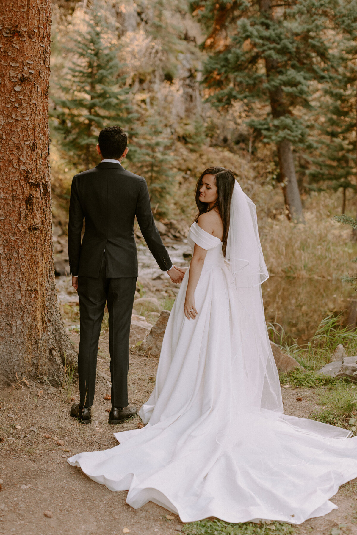 AhnaMariaPhotography_Wedding_Colorado_Daphne&Cy-100