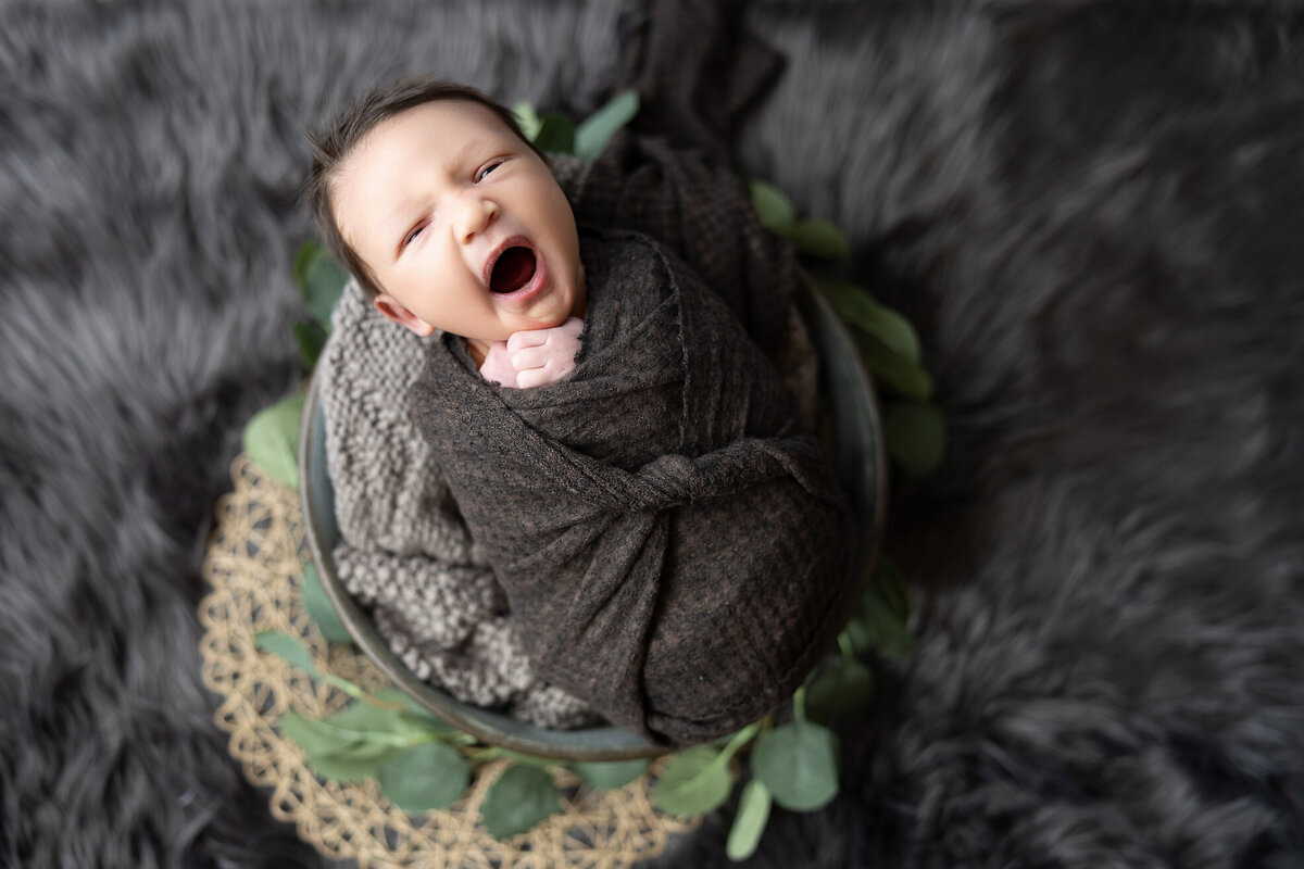 callannewbornphotography-13