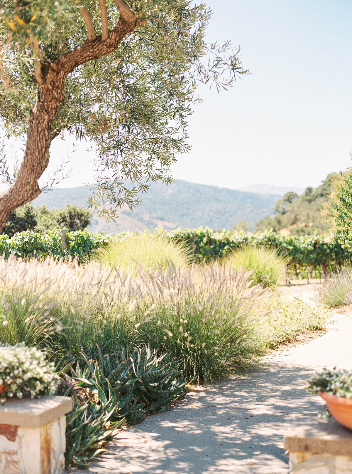 Holman-Ranch-Wedding-Carmel-Photographer-2
