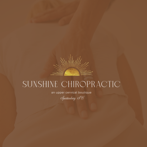 HP - Custom Chiro Logo Designs