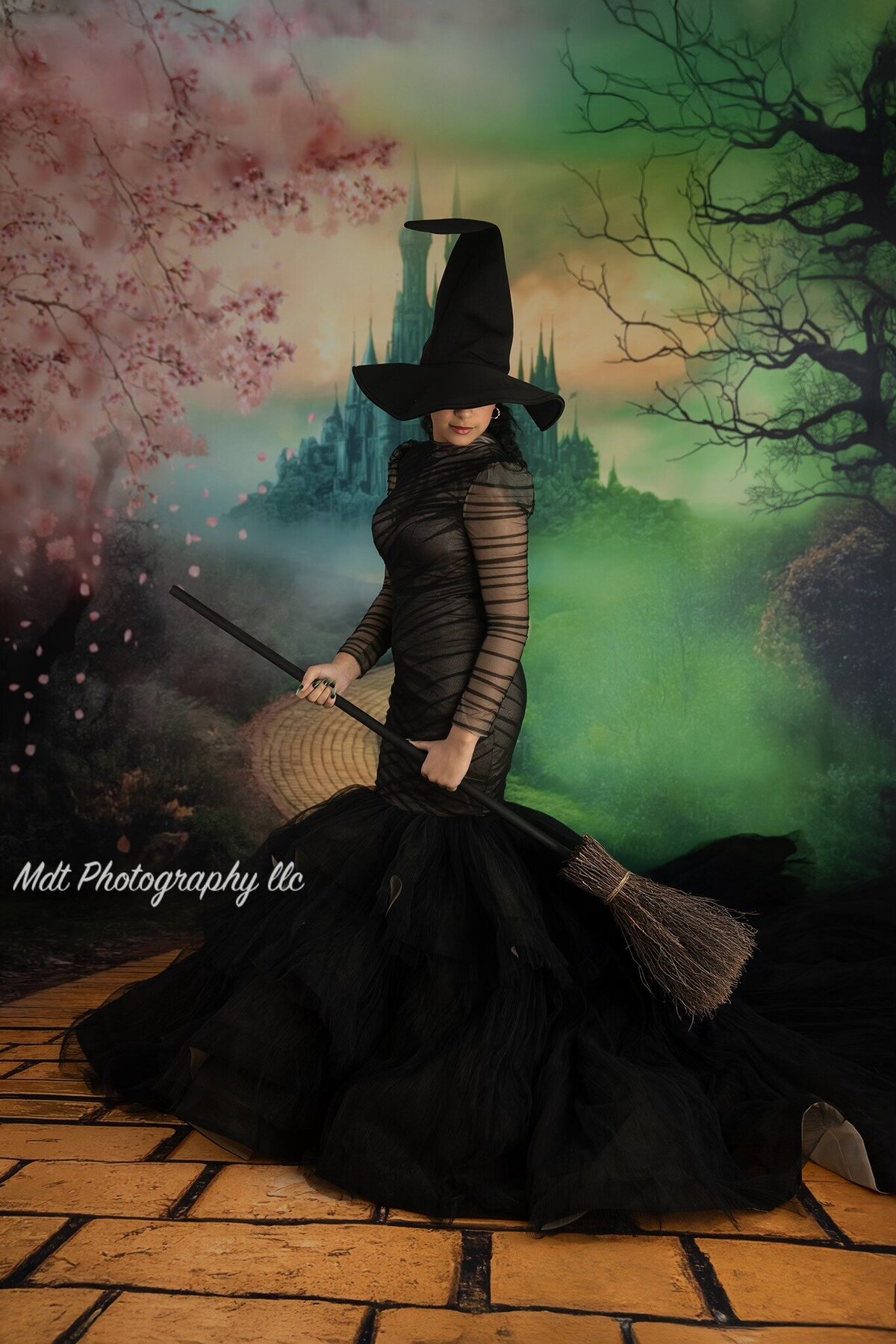 elphaba dress