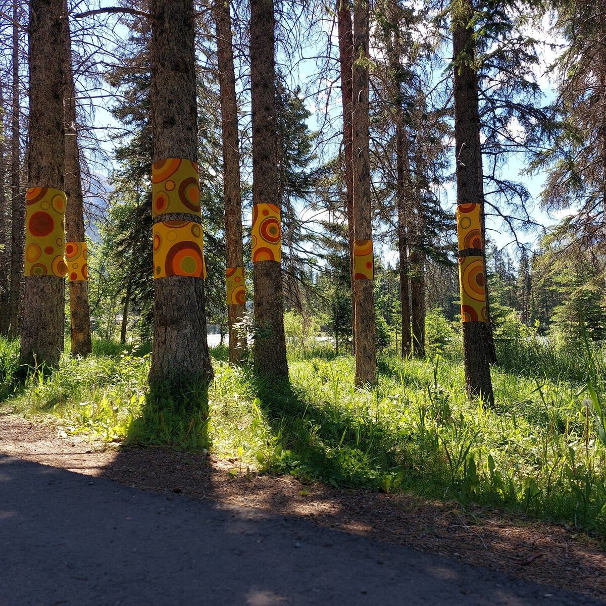 BANFF LODGING CO 10
