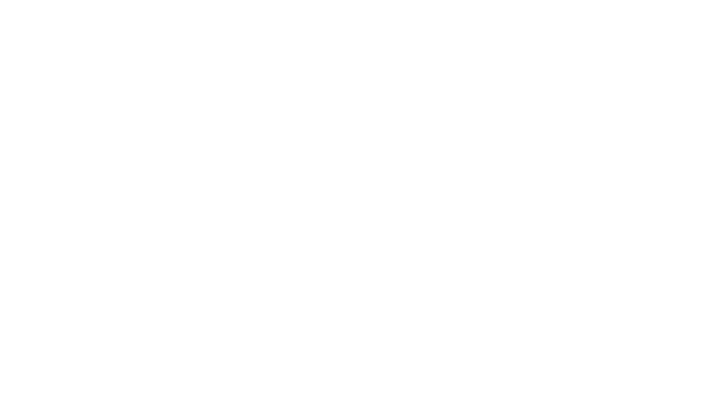 The Spruce Logo