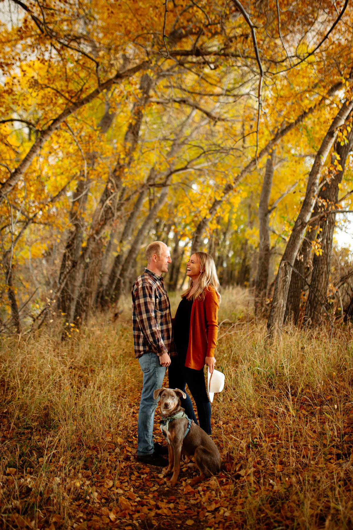 fall photoshoot of couple and their dog with the leaves turning golden.