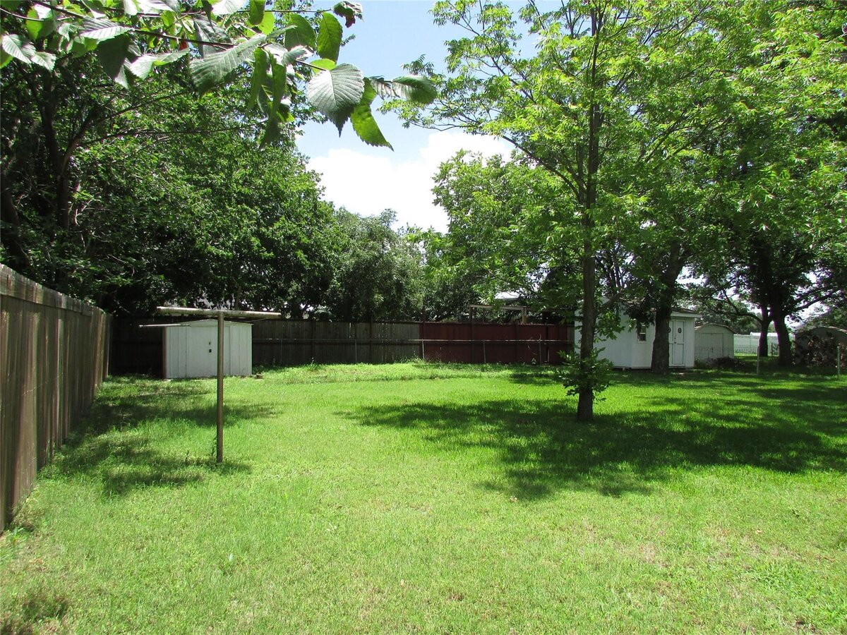 18 back yard