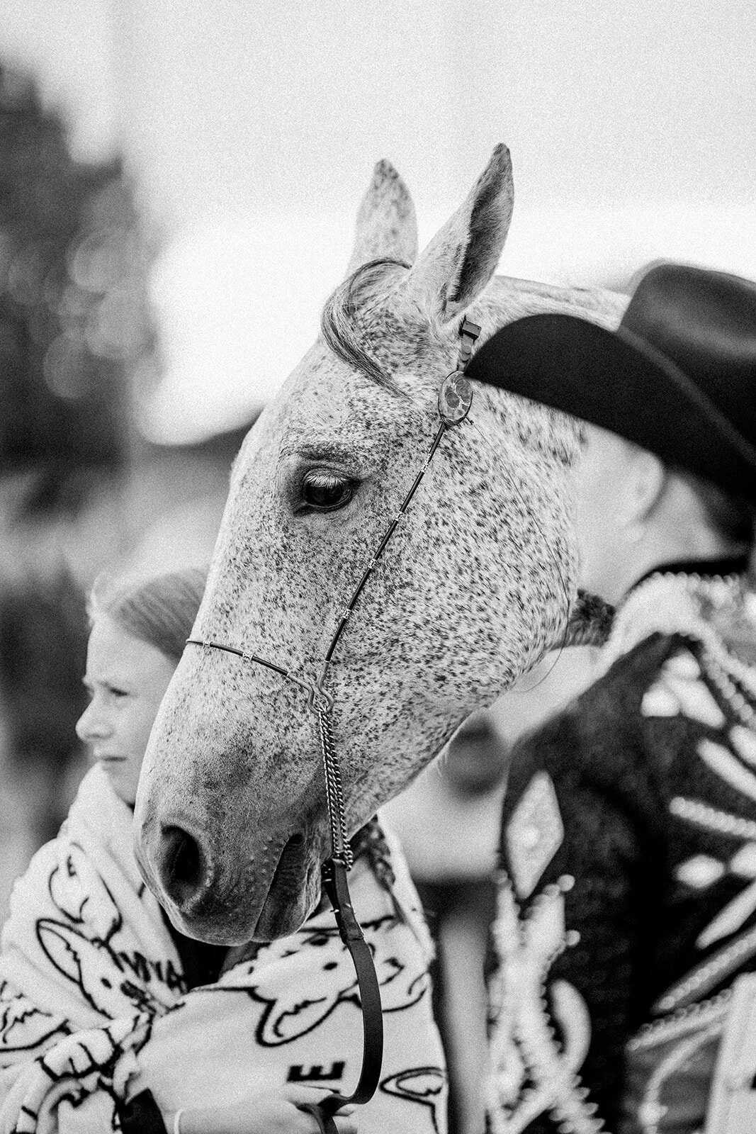 Equestrian Photography153
