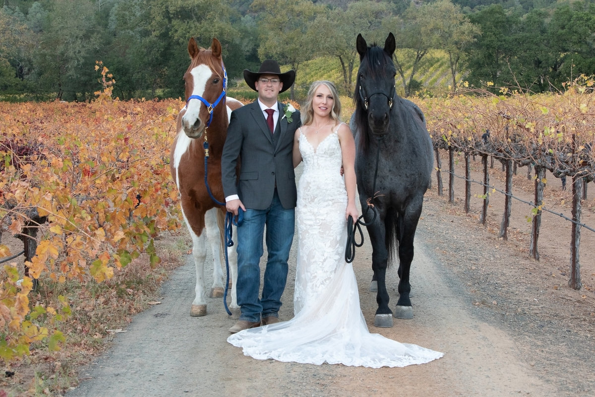 bride and groom with horses in vineyards