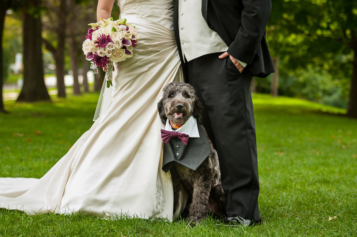 Dog wearing a tuxedo on a wedding day at frontier park.