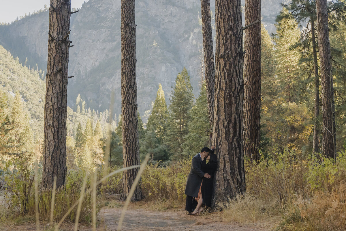 yosemite-engagement-photos-260