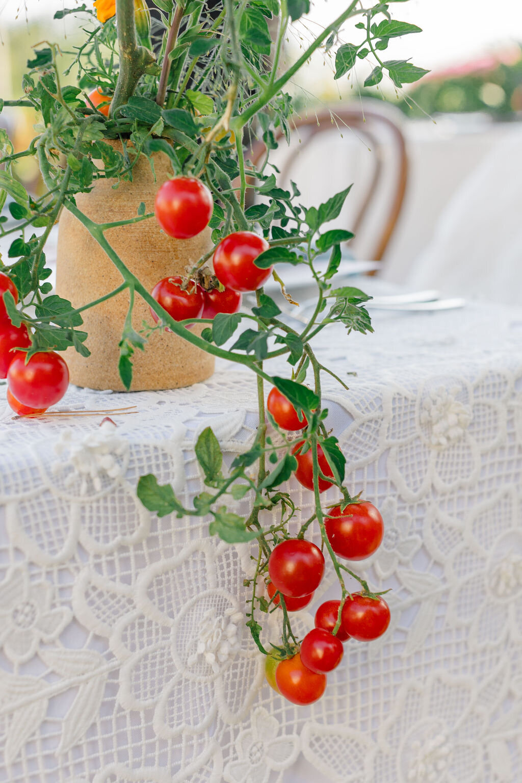 s&l-wedding-thelibbysphotoandfilms-912