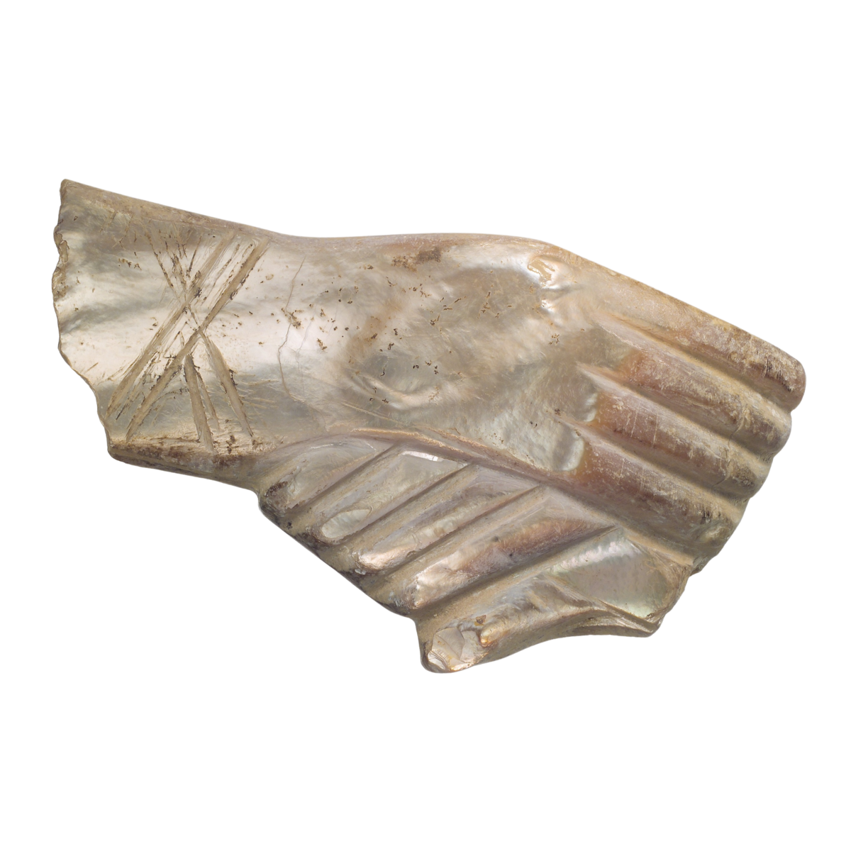 Hands | Amphora Edu