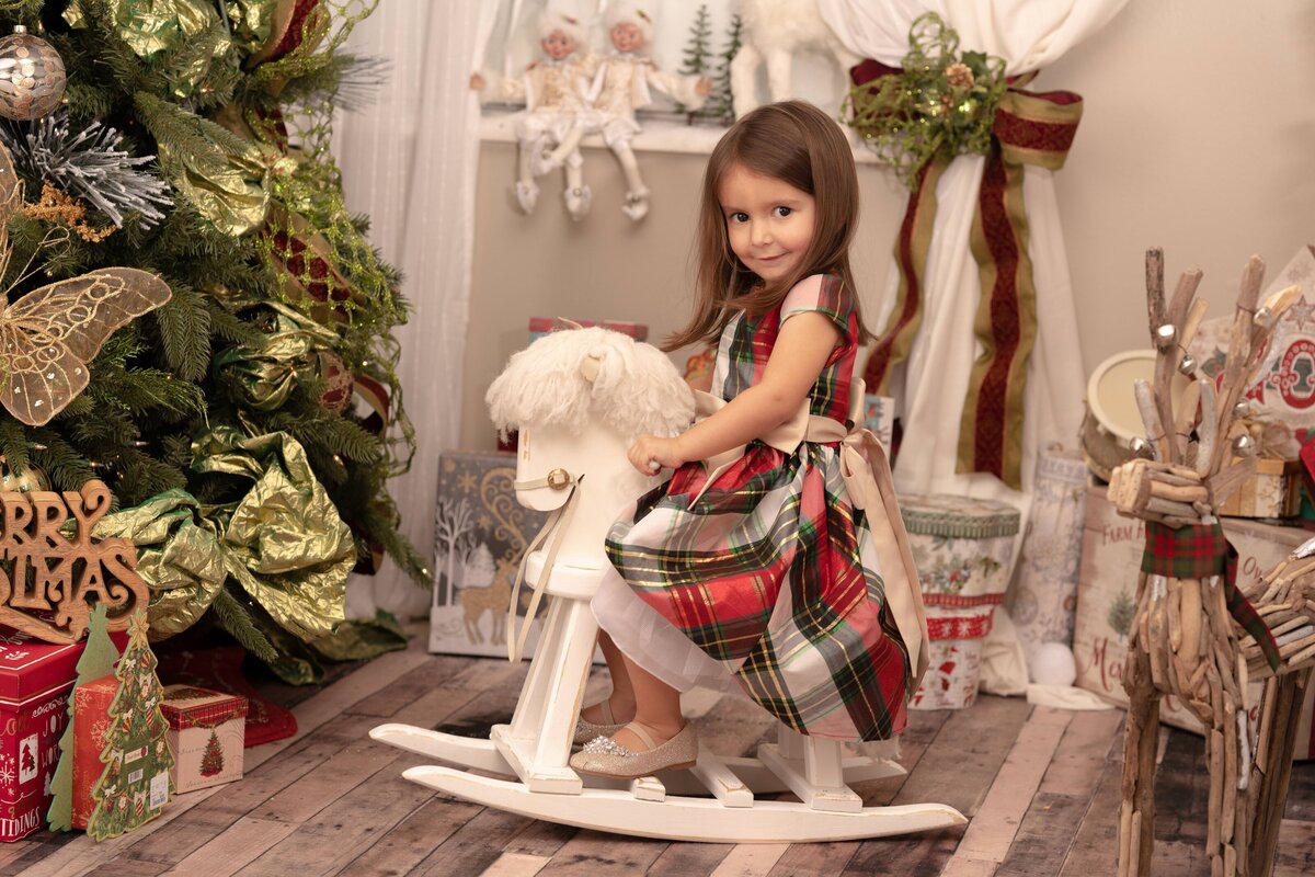 SteinArtStudio Christmas minis-34