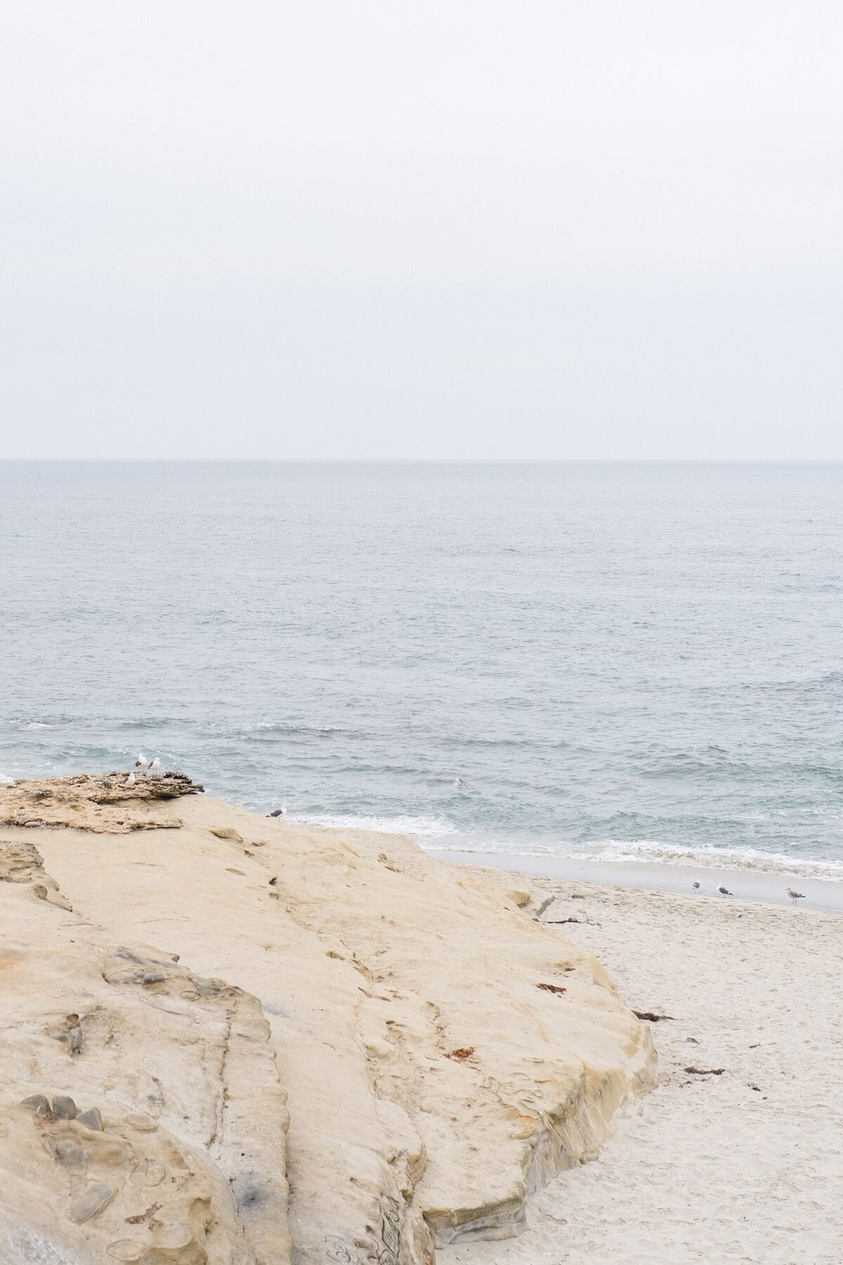 Windansea Beach-2