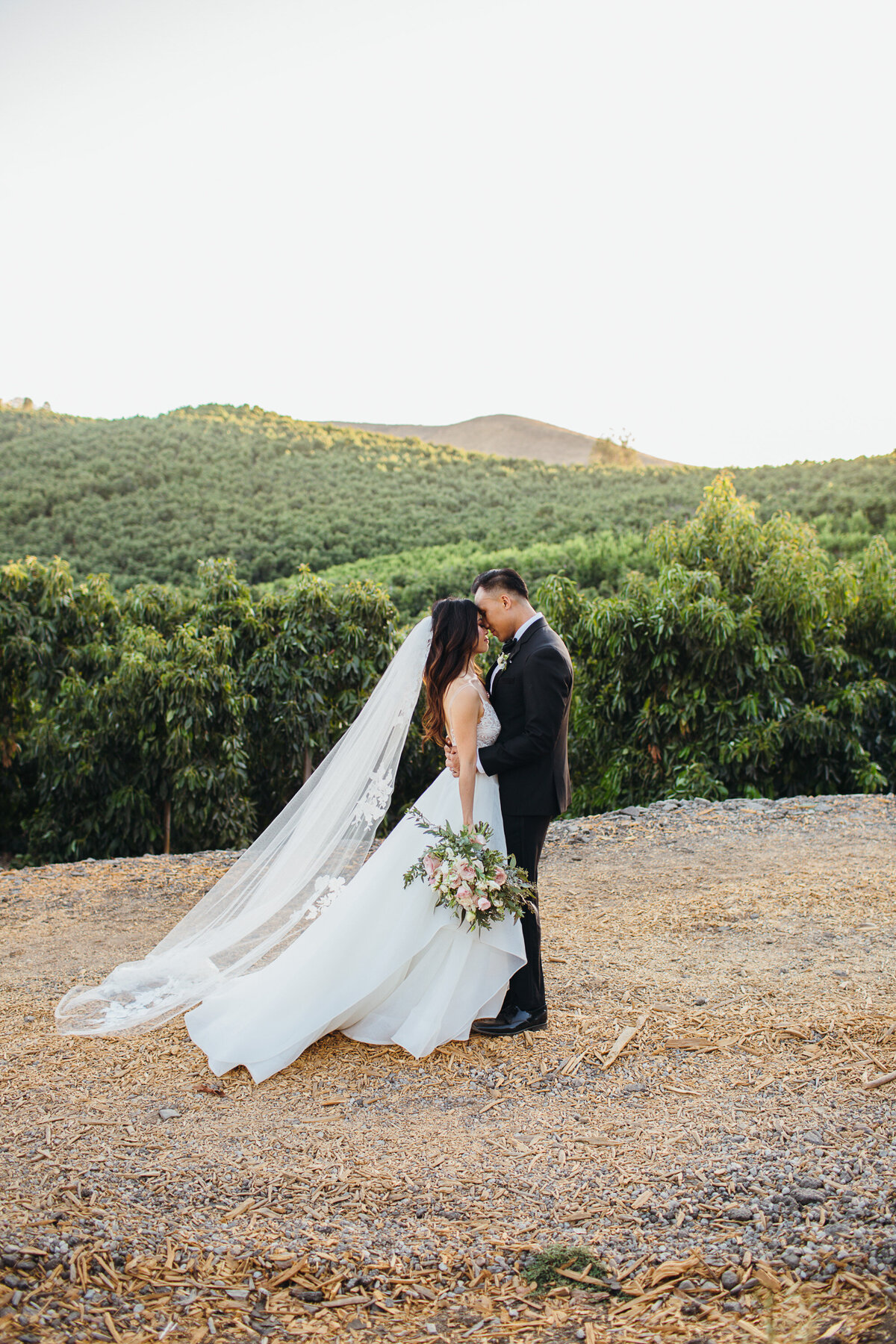 Quail Ranch Wedding Vanue - Ventura County Wedding Photographer