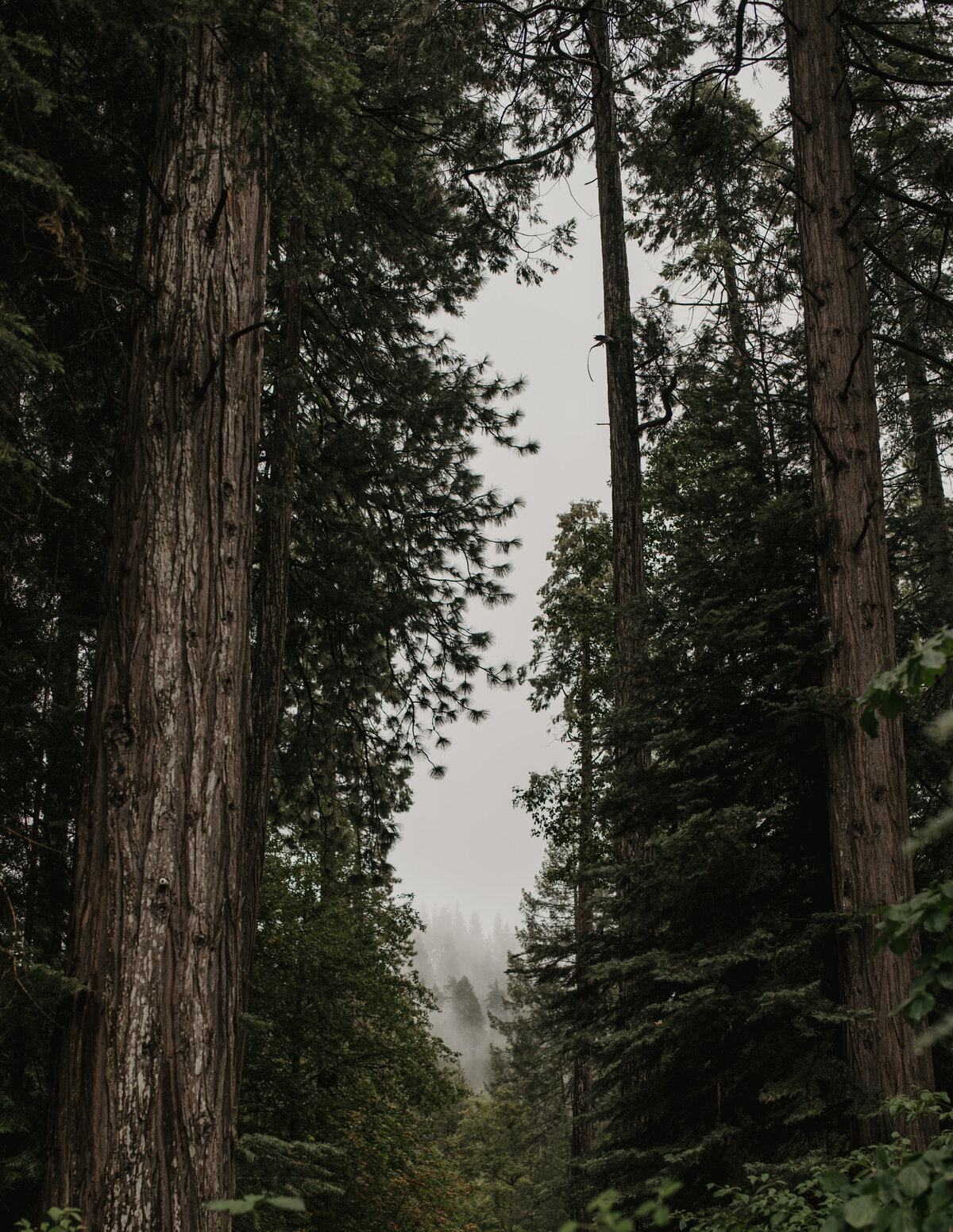 MountainTimePhotography-381
