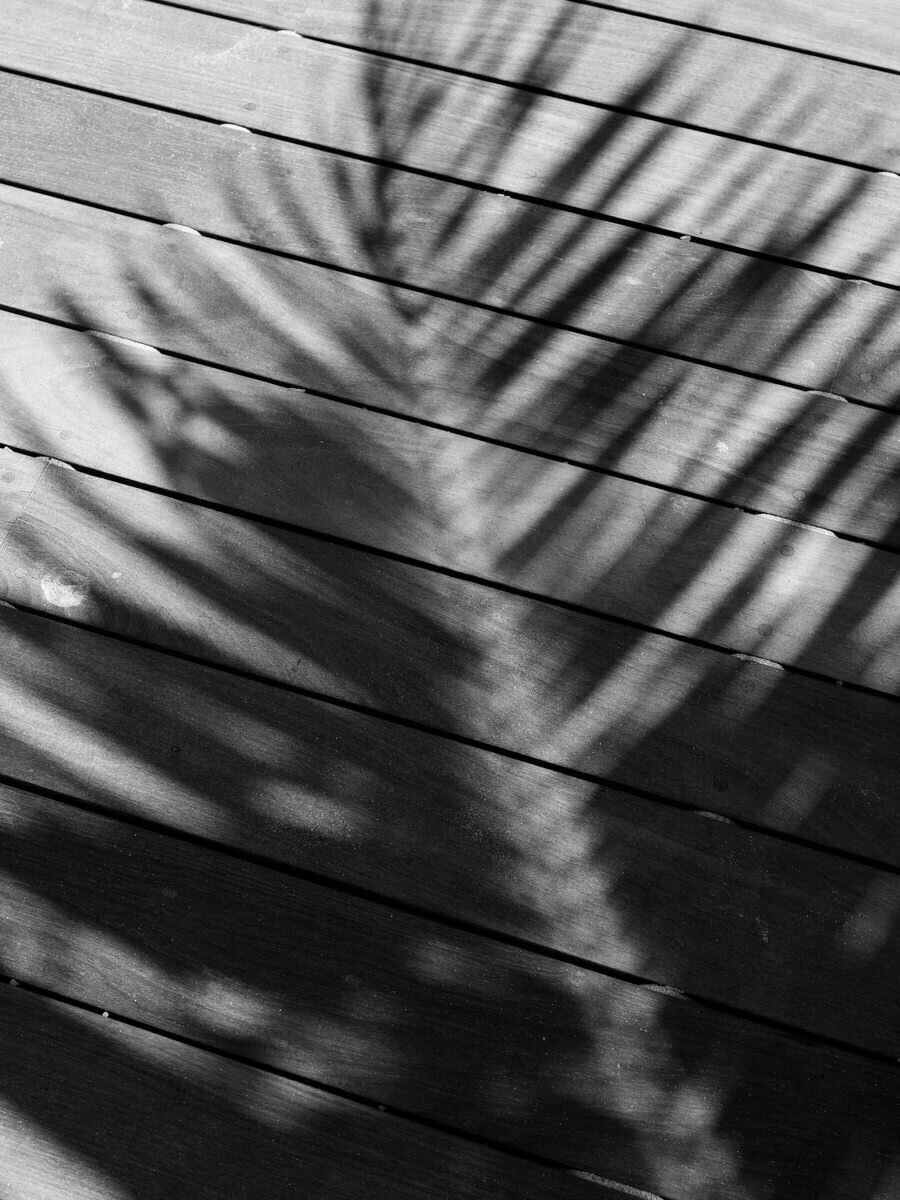 leila-brewster-photography-0421