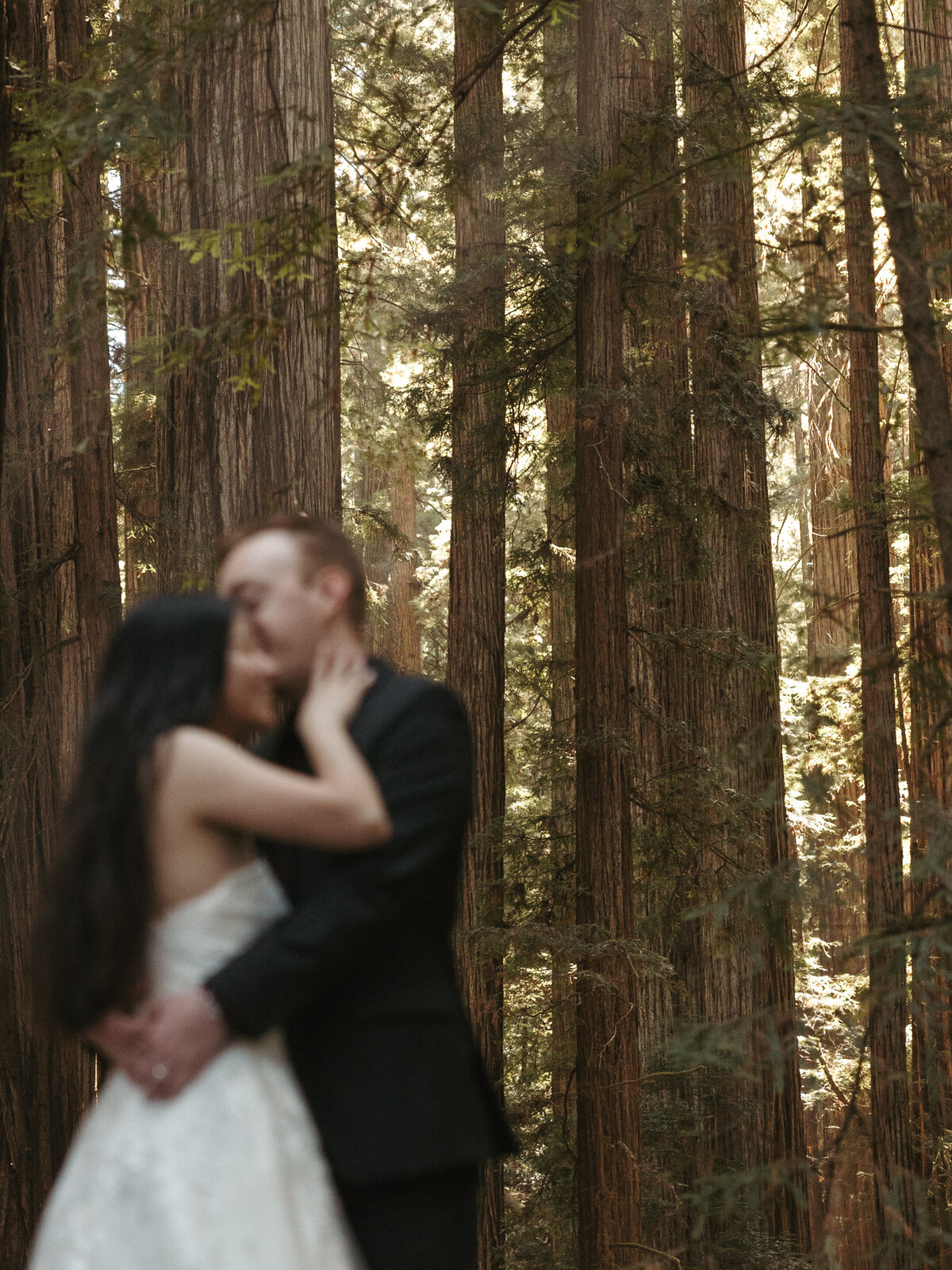 jackiejoshredwoodselopement9