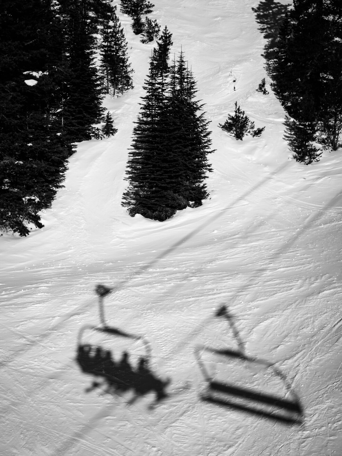 leila-brewster-photography-activities-0036