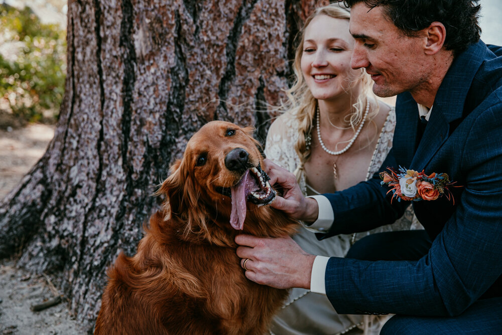 logan-shoals-vista-point-elopement (85)