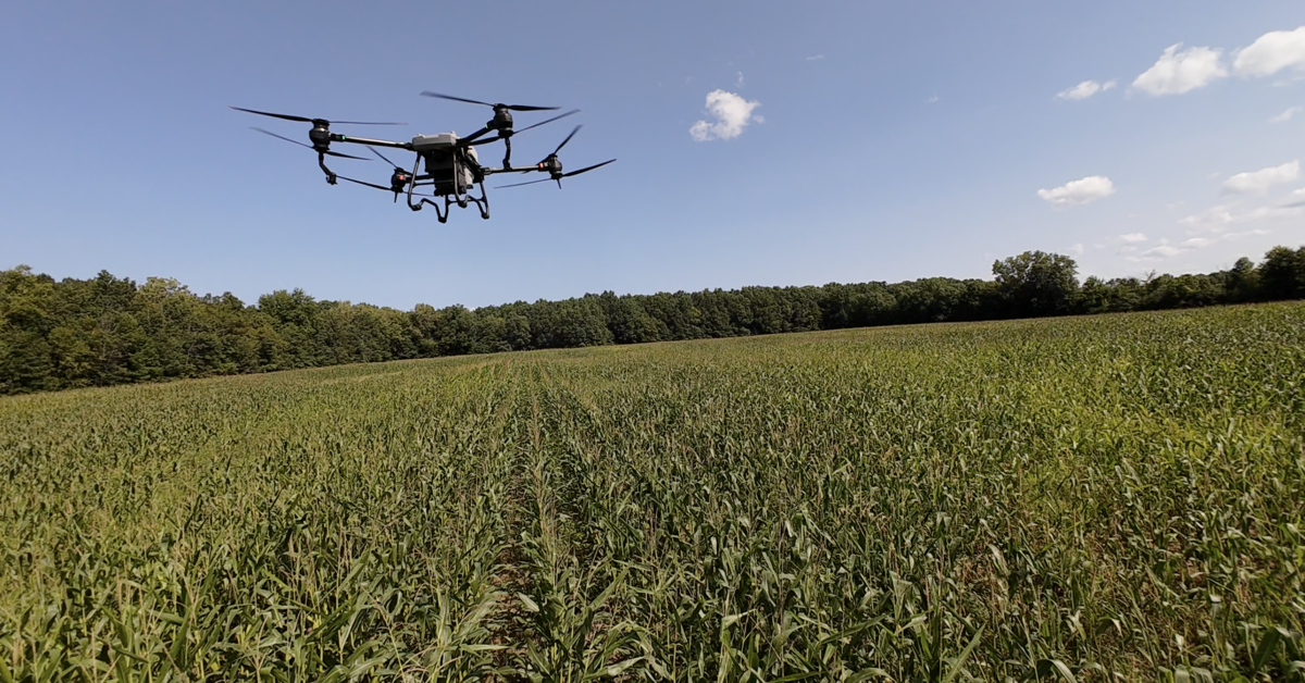 Raven 6 Rising following the DJI Agras T-40 with the DJI Avata 2 with applying fungicide to agriculture crops fields with drones.