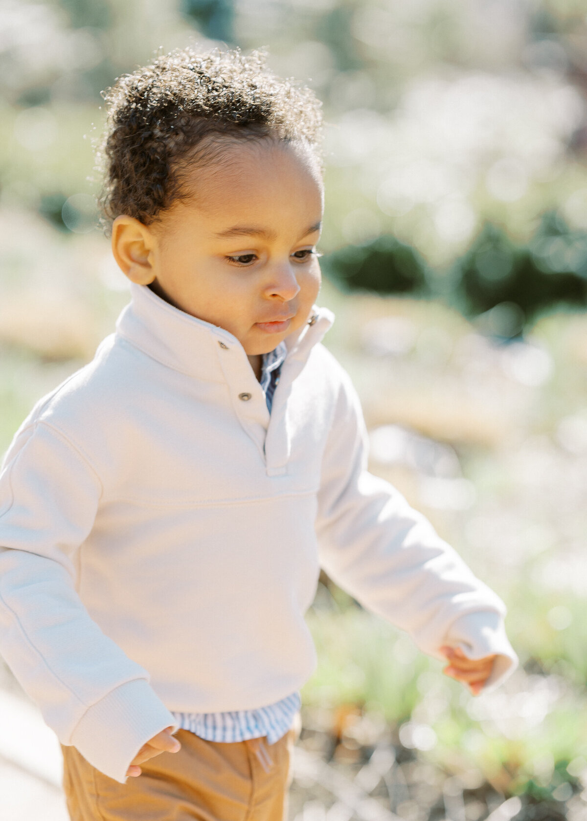 2024 Johns Family Magnolia Petite Portraot Session at Cantigny Park.monicamirandaphotography (27 of 36)